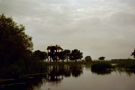 Loading Image